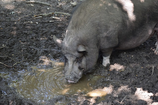 而新华社的 而新华社的