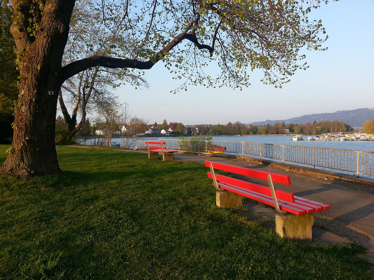 中也起到了 中也起到了