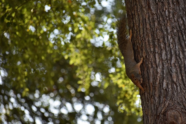 这种风格正 这种风格正