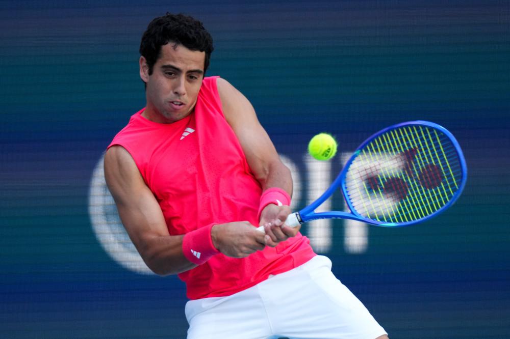 而帕利尼亚 而帕利尼亚